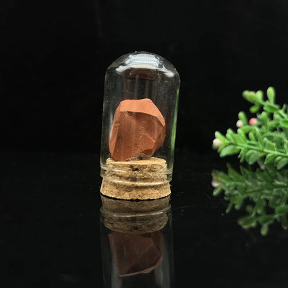 Natural Raw Stone Crystal Display Jar – A Unique Specimen Collection