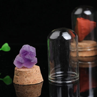 Natural Raw Stone Crystal Display Jar – A Unique Specimen Collection