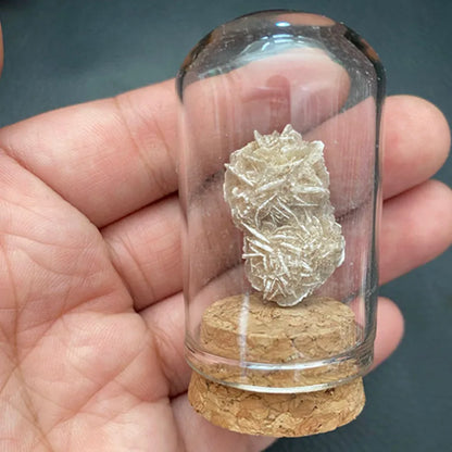 Natural Raw Stone Crystal Display Jar – A Unique Specimen Collection