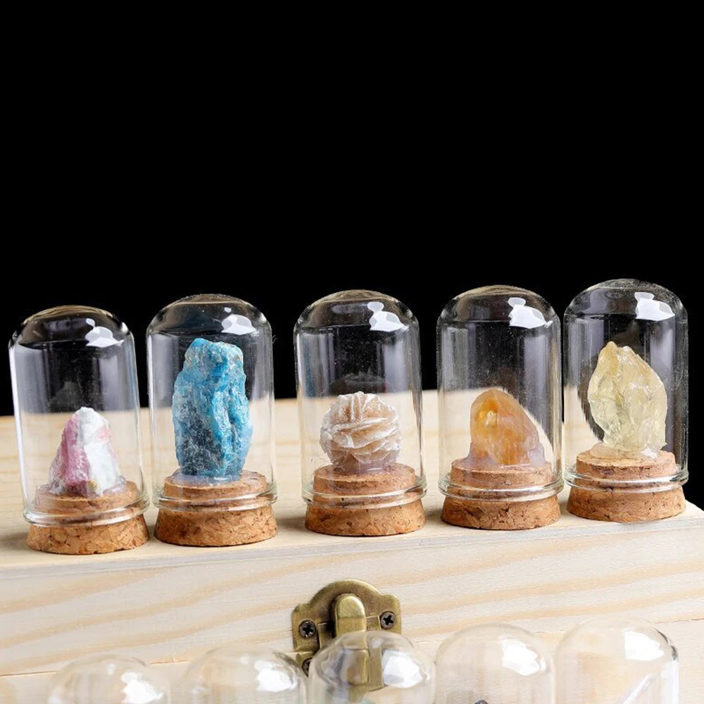 Natural Raw Stone Crystal Display Jar – A Unique Specimen Collection