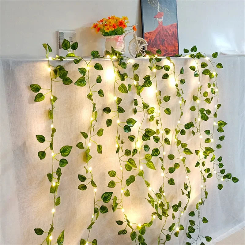 OKAL RED EAST LED Vine Fairy String Lights