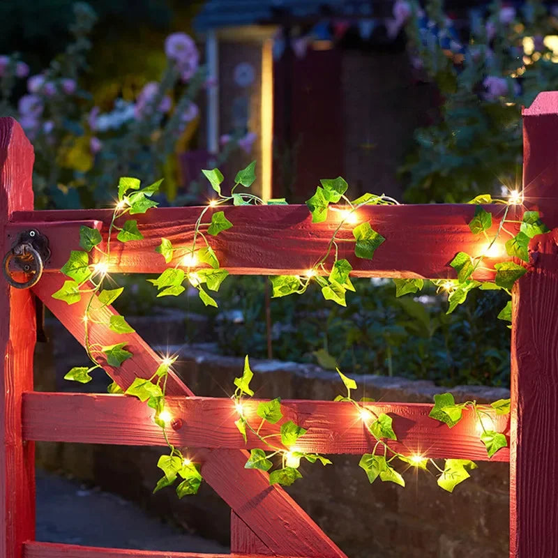 OKAL RED EAST LED Vine Fairy String Lights