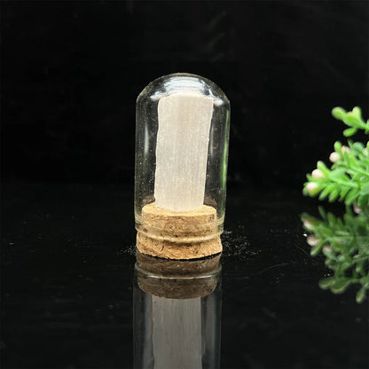 Natural Raw Stone Crystal Display Jar – A Unique Specimen Collection